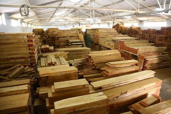 Grade A Teak Logs