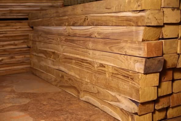 Freshly Cut Teak
